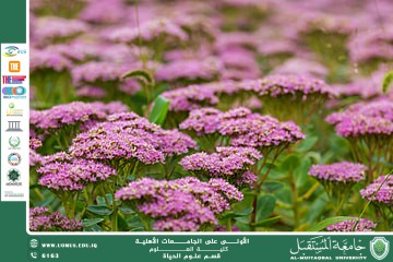 مقالة علمية للانسة نور الهدى عزمي حسن بعنوان "نبات السيدوم "