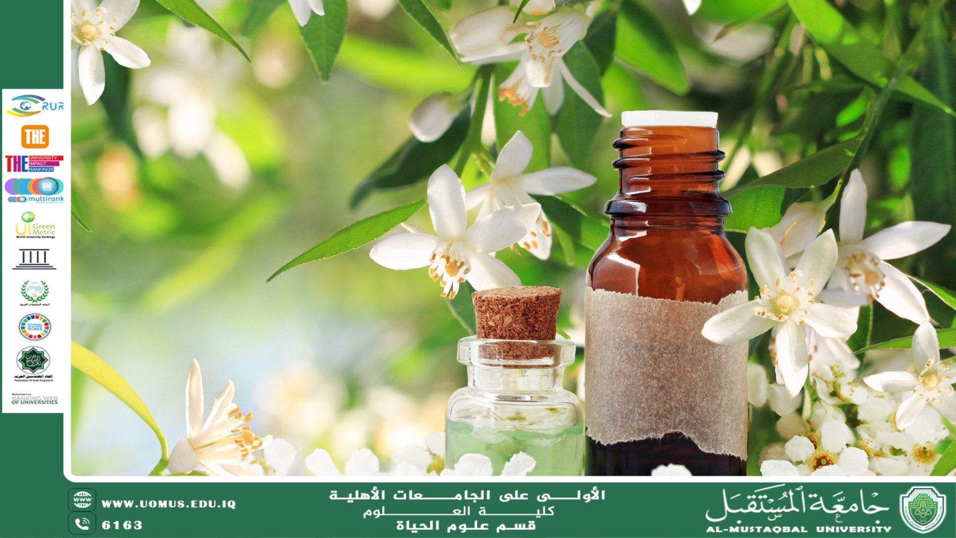 مقالة علمية للآنسة نور الهدى عزمي حسن بعنوان: المركبات الفعالة في النباتات الطبية