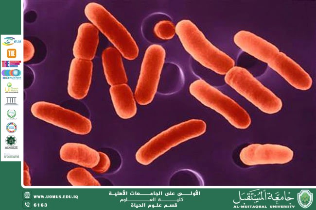 مقالة علمية للتدريسية م.م زينب ناظم عزيز بعنوان "البكتيريا المحلِّلة ودورها في البيئة"