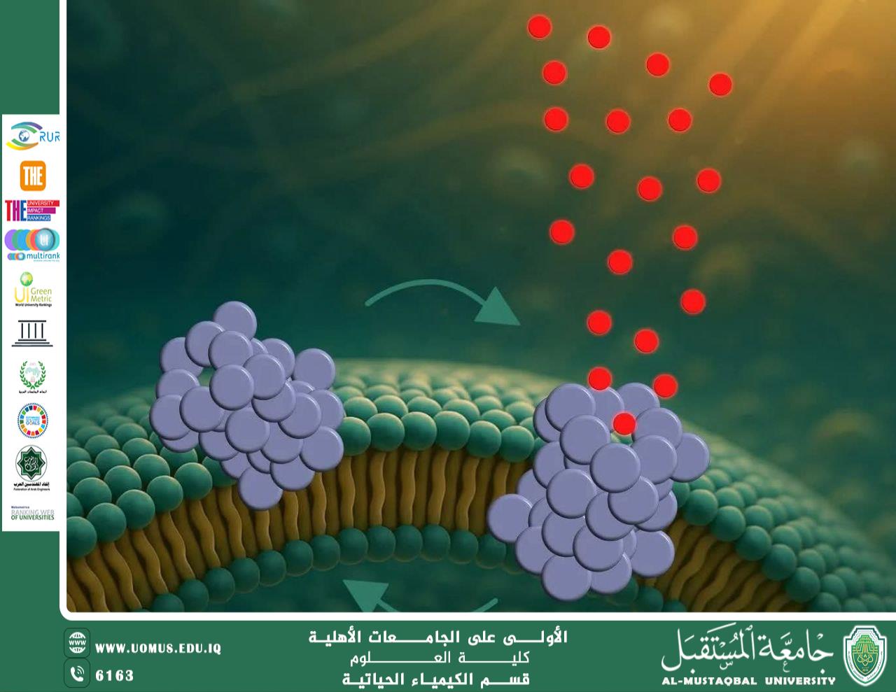مرض باركنسون: اكتشاف بروتين يُحدث ثقوبًا في الخلايا العصبية إعداد: م.م. عباس حمزة خضير قسم الكيمياء الحياتية – كلية العلوم – جامعة المستقبل
