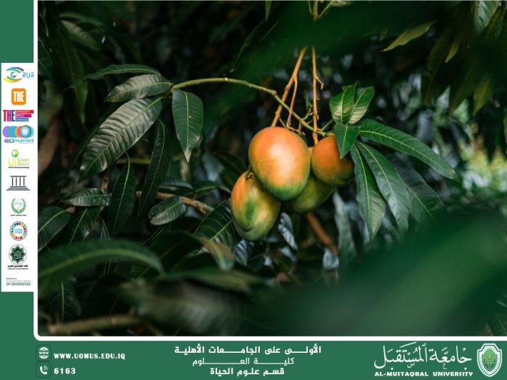 مقالة علمية للآنسة نور الهدى عزمي حسن بعنوان: النباتات مغطاة البذور وأهميتها الاقتصادية