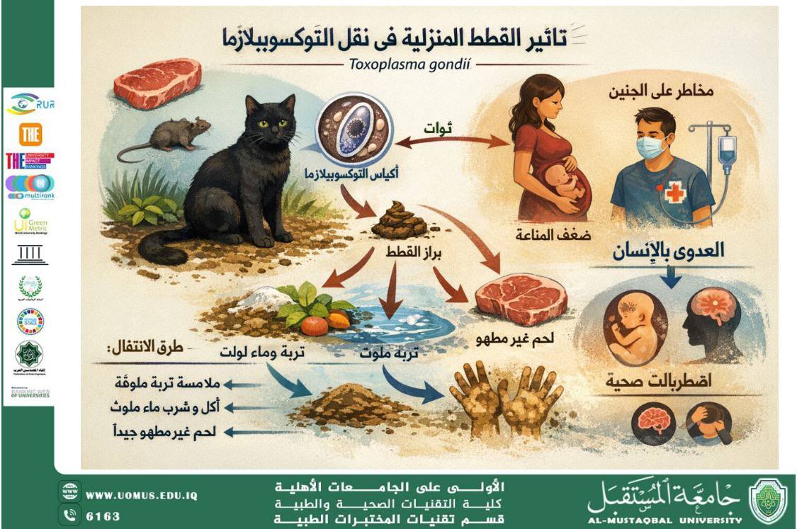 مقالة علمية للسيدة ايلاف عدنان طه بعنوان تأثير القطط في نقل طفيلي التوكسوبلازما