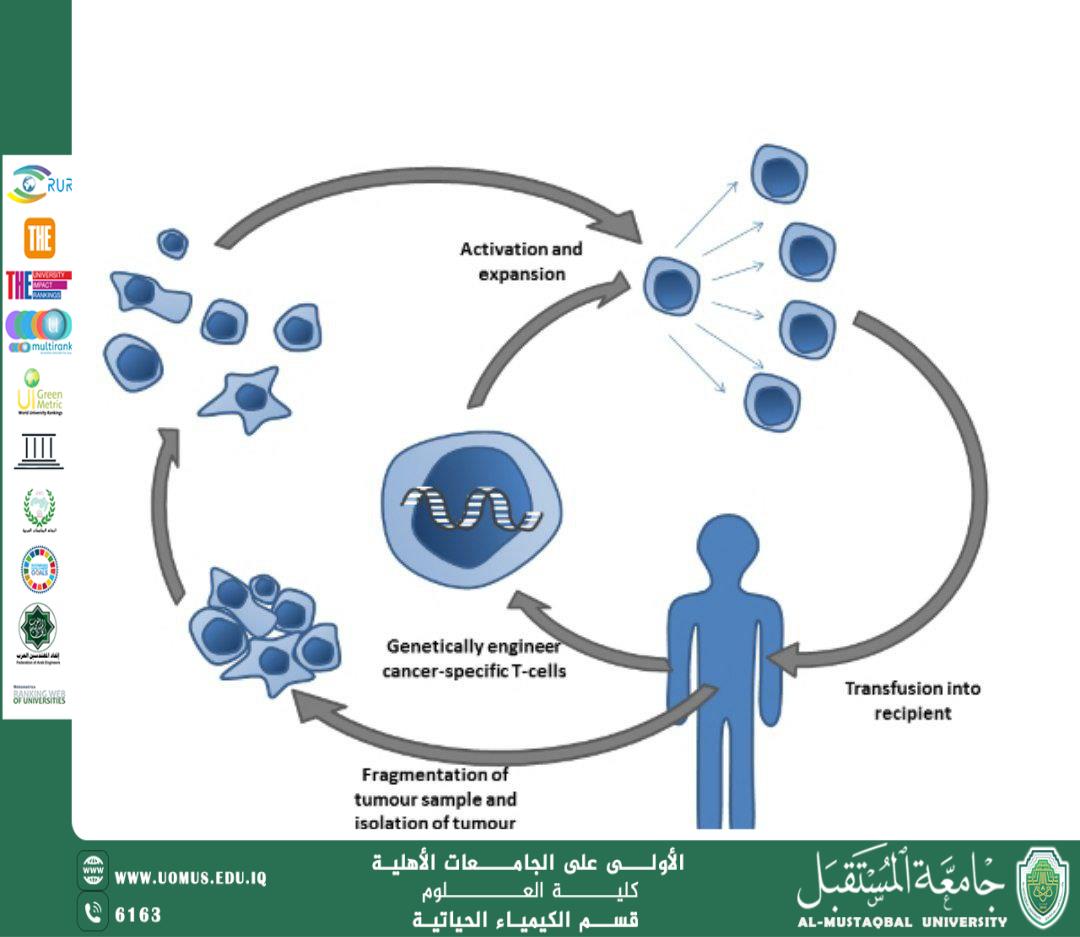 مقالة علمية ل رئيس قسم الكيمياء الحياتية الاستاذ الدكتور ناصر عبد الحسن ناصر بعنوان دور الكيمياء الحياتية الطبية في تطوير ومتابعة العلاجات المناعية (Immunotherapy)