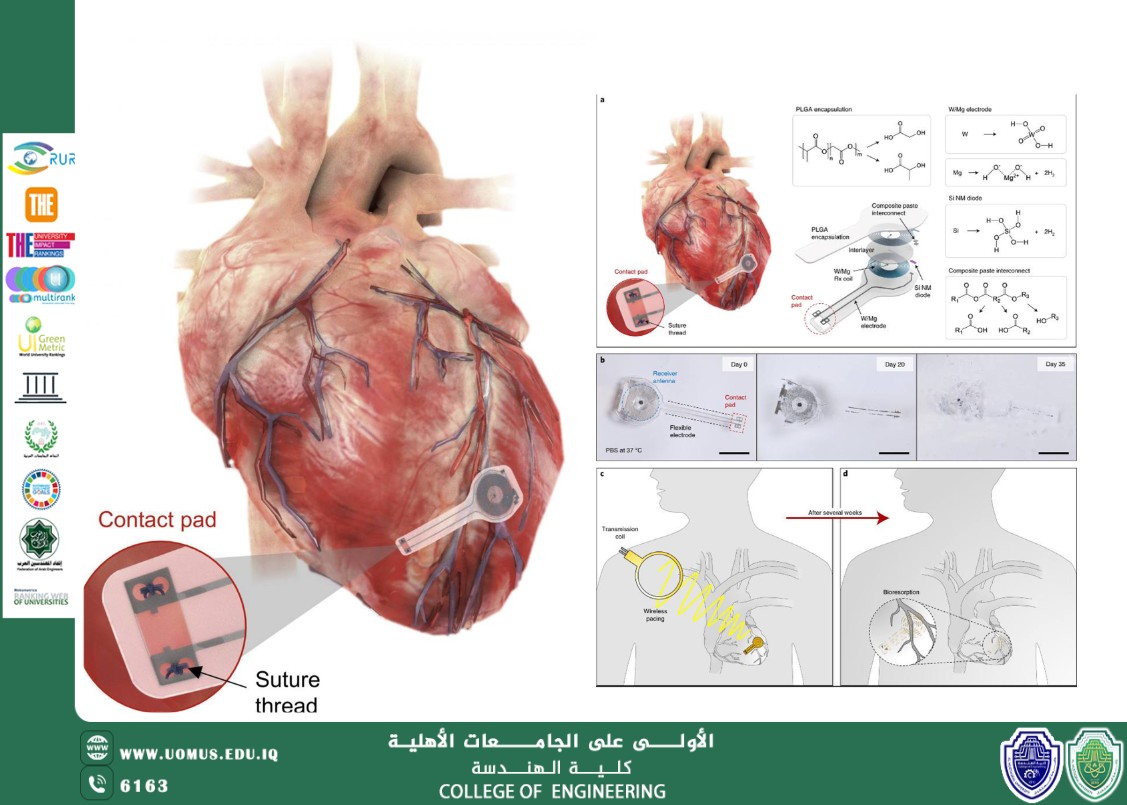 مقالة للاستاذة اكرام فلاح  بعنوان (From Surgery to Injection: An Injectable and Bioresorbable Cardiac Pacemaker)