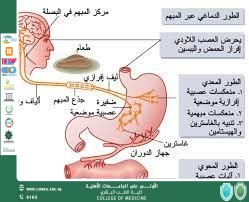 مقالة بعنوان علاقة هرمون الغريلين بهرمون النمو
