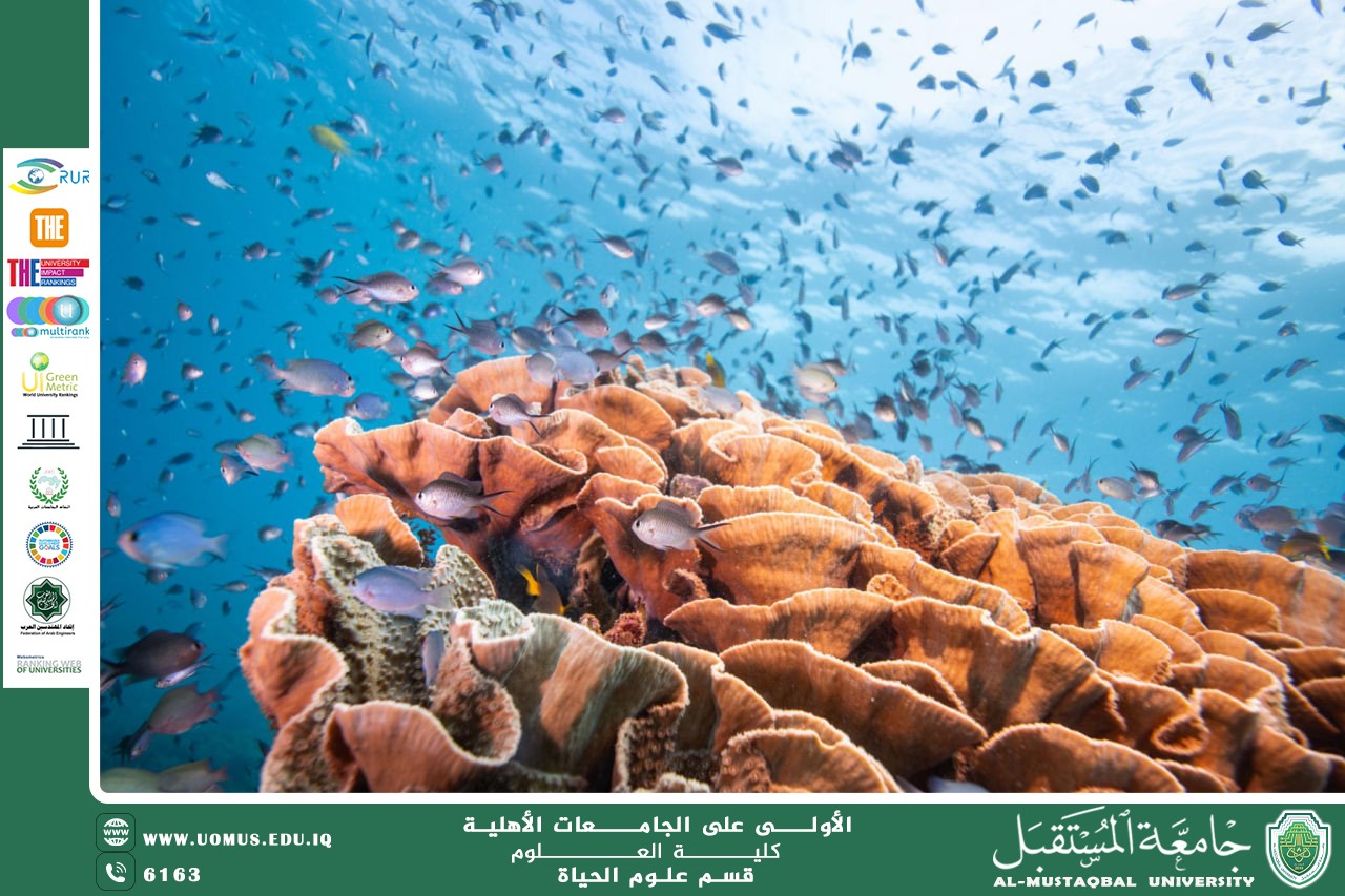 مقالة علمية للانسة نور عزمي: التنوع الأحيائي كركيزة لتحقيق التنمية المستدامة