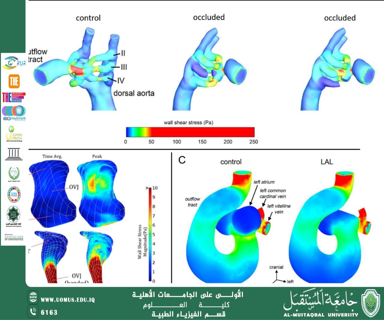 Digital Blood: Advanced Computational Modeling of Blood Properties and Future Clinical Applications Scientific Article by Instructor Mariam Redha)