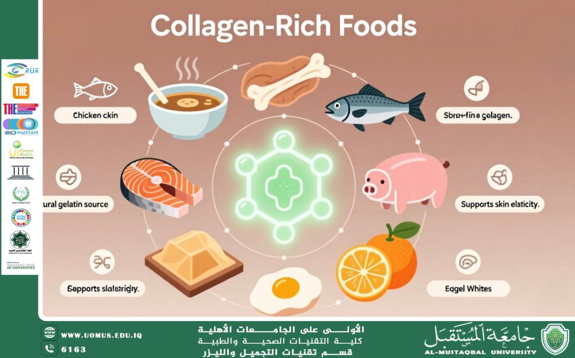 "A Scientific Article by Lecturer Ola Salman Hamza titled: 'Weave a Network of Collagen: Through Diet, Not Injections!' – Translation"