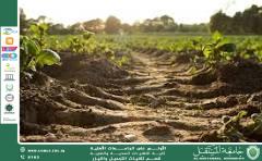 Enzymes Used in Phytoremediation and Their Role in Environmental Protection