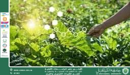 المعالجة الحيوية ودورها في البيئة