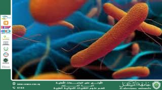 A scientific article by lecturer (M.M. Rasha Fajr Kazar) entitled "The relationship of typhoid fever to the body's immunity"
