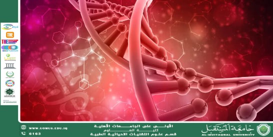 مقاله علمية للتدريسية (م.م منار كاظم حسن ) بعنوان " الهرمونات وتنظيم وظائف الجسم  المقدمة  الهرمونات هي مواد كيميائية تفرزها الغدد الصماء في جسم الإنسان، وتنتقل عبر الدم إلى الأعضاء المستهدفة لتنظيم العديد من وظائف الجسم الحيوية. وتلعب الهرمونات دورًا مهمًا في الحفاظ على توازن الجسم ونموه وتطوره.  الغدد الصماء  من أهم الغدد التي تفرز الهرمونات: الغدة النخامية، الغدة الدرقية، البنكرياس، الغدة الكظرية، والغدد التناسلية. وتُسمى الغدة النخامية بسيدة الغدد لأنها تتحكم في عمل معظم الغدد الأخرى.  وظائف