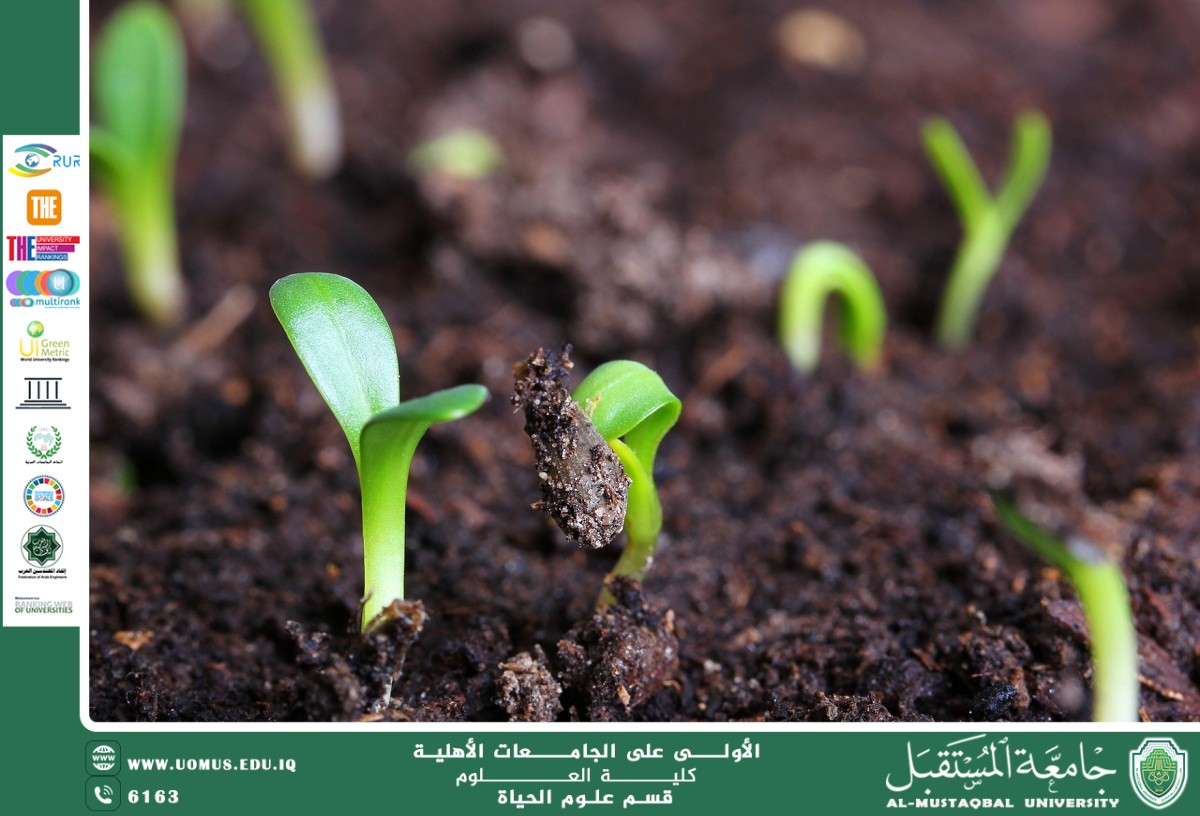 مقالة علمية للانسة نور الهدى عزمي حسن بعنوان "الزراعة العضوية وأثرها على البيئة والصحة"