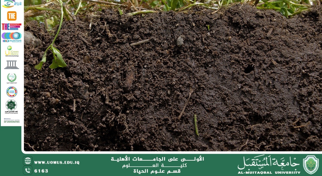 مقالة علمية للمعيدة علا عادل رسمي بعنوان : التربة الطينية
