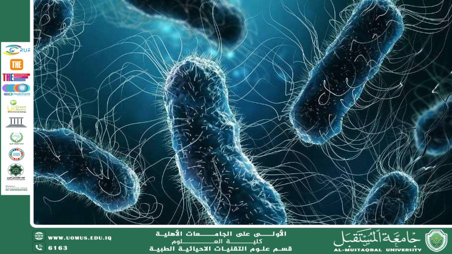 مقالة علمية للمعيد ( احمد جلال نعمة ) بعنوان "الطحالب "