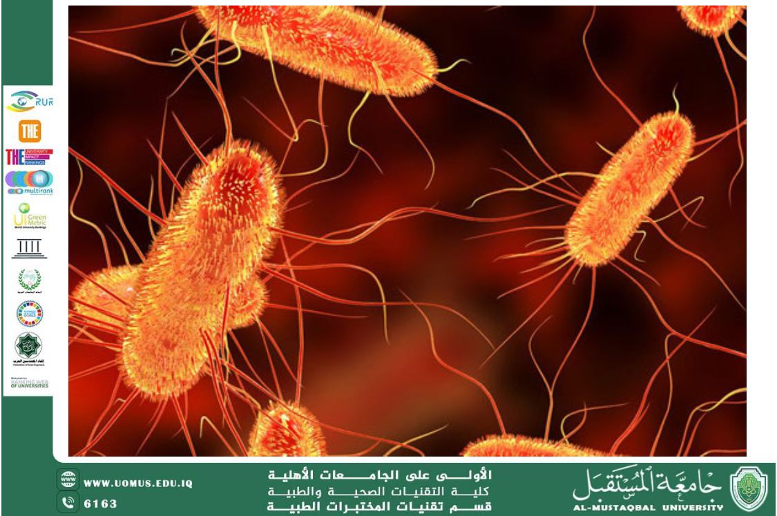 A Scientific Article by Lecturer Ahmed Jamal Entitled: “The Impact of Escherichia coli Infection on Neonatal Health”