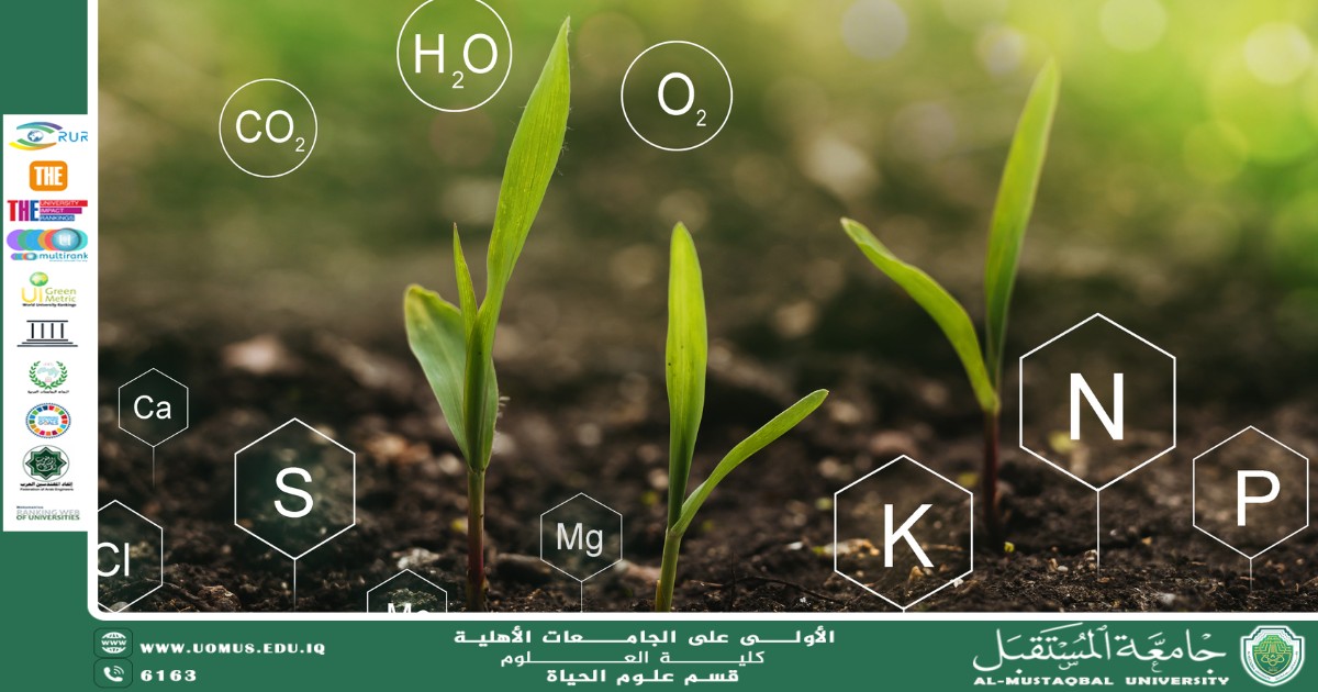 مقالة علمية للتدريسية م.م ضحى صلاح صاحب بعنوان : تأثير الميكروبات في دورة العاصر الغذائية في التربة