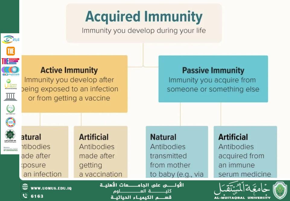 مقالة علمية بعنوان المناعة: الأسس الحيوكيميائية ودورها في حماية جسم الإنسان من قبل التدريسي  م.م. عباس حمزة خضير قسم الكيمياء الحياتية – كلية العلوم – جامعة المستقبل