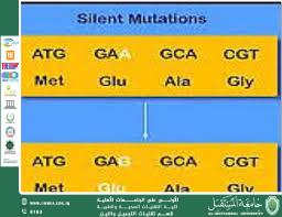 : The Silent Gene and Its Role in Gene Expression Regulation