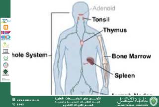 Immunity and Infectious Diseases — How the Body Defends Itself Against Invaders