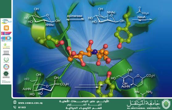 Enzymes: Biological Catalysts in Living Systems