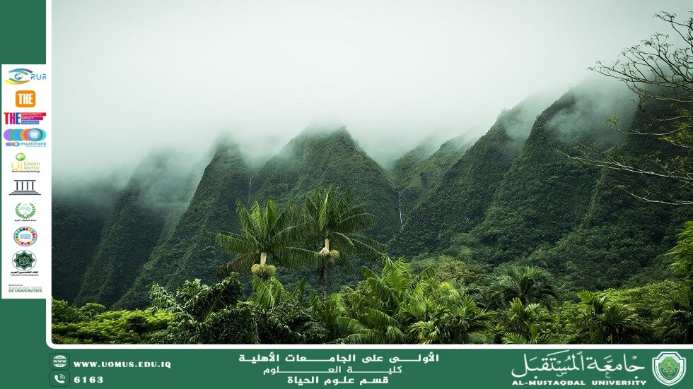 مقالة علمية للآنسة نور الهدى عزمي حسن بعنوان: دور الغابات المطيرة في تنظيم المناخ العالمي