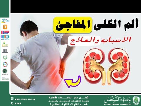 A Scientific Article by Ms. Tabarak Ahmed Turki     Al-Azzawi “Sudden Kidney Pain: Causes and Treatment Methods”