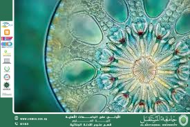 Diatoms as Bioindicators of Water Quality (Assistant Lecturer Mais Uday Mohammed)