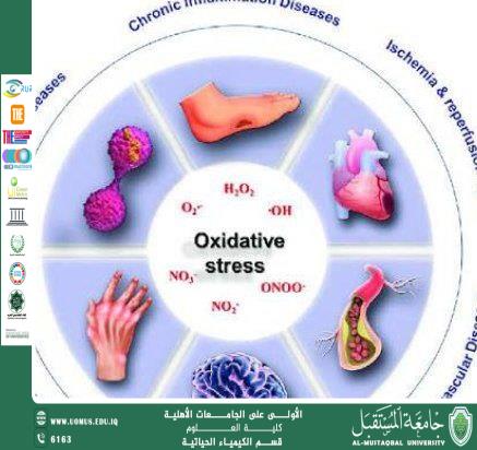 مقالة علمية للتدريسية م.م هنادي تحسين مسلم بعنوان الإجهاد التأكسدي وعلاقته بالأمراض المزمنة: منظور في الكيمياء الحياتية