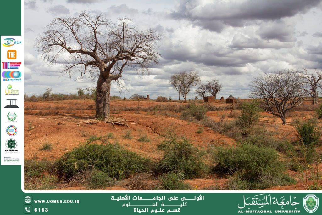 مقالة علمية للانسة نور عزمي :الإدارة المستدامة للموارد الحيوية في البيئات الهشة