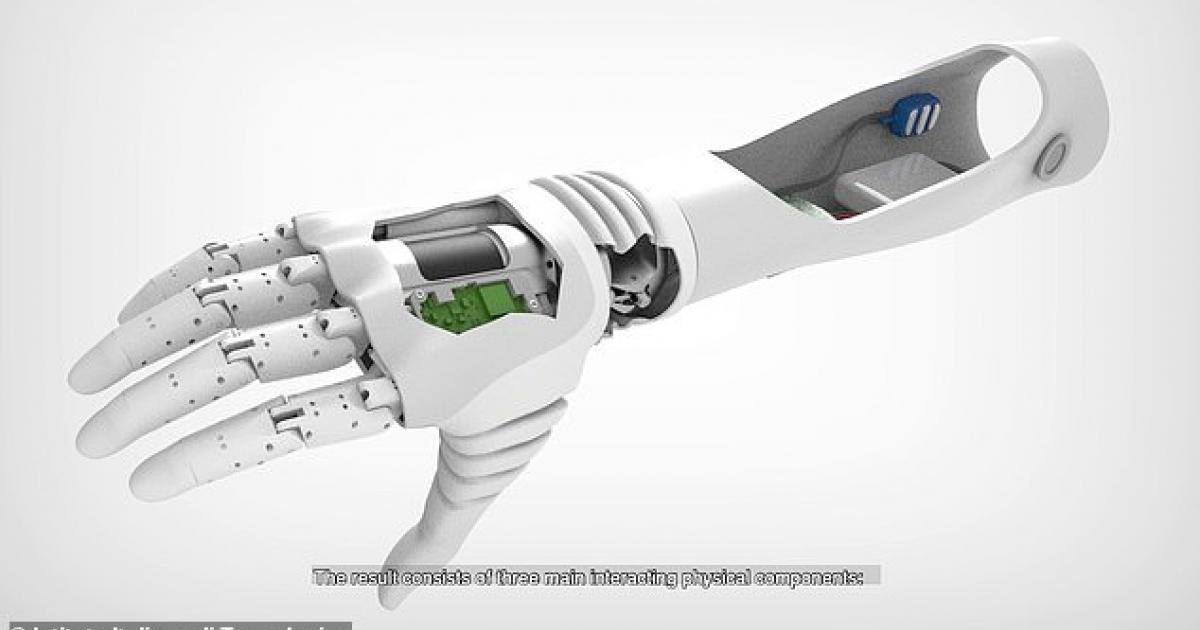 Biomechanics in Medicine and Rehabilitation