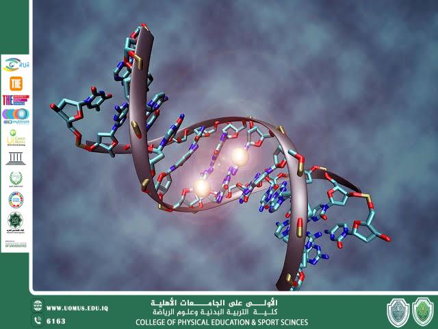 هل للجينات الوراثية دور مهم في الأداء الرياضي؟