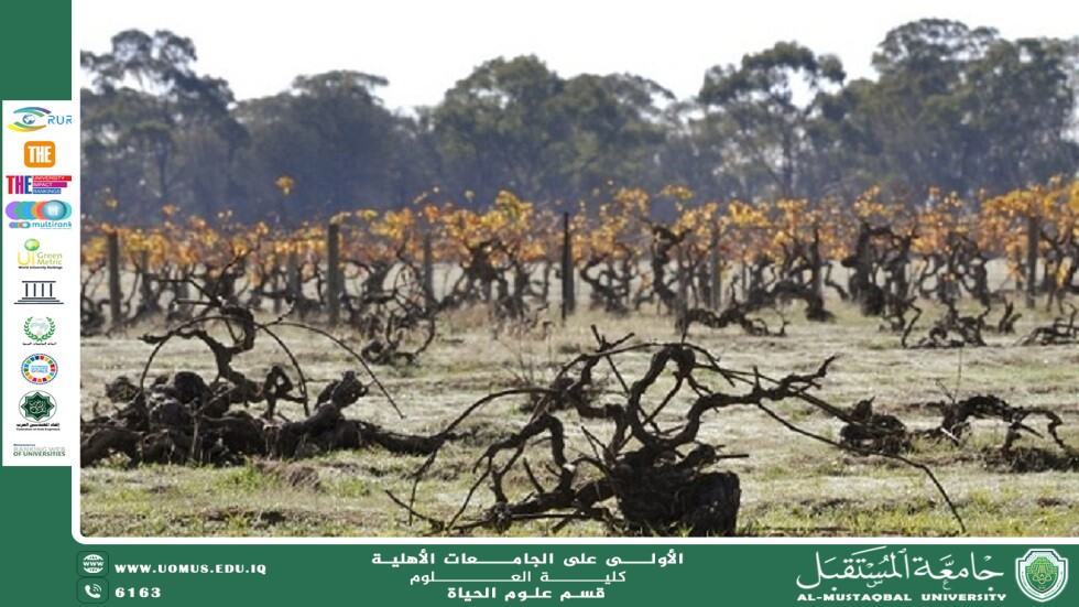 مقالة علمية للمعيدة علا عادل رسمي بعنوان "تأثير العوامل البيئية والوراثية على الكائنات الحية"