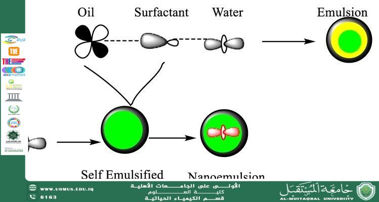 Biochemical Interactions of Emulsified Drug Formulations in Biological Systems