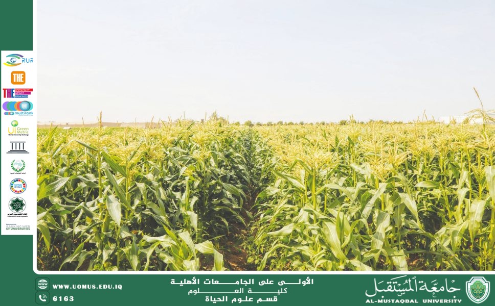 A Scientific Article by Instructor M.M. Duha Salah Sahib Entitled: “The Role of Organic Farming in Enhancing Environmental Sustainability and Achieving Comprehensive Development”