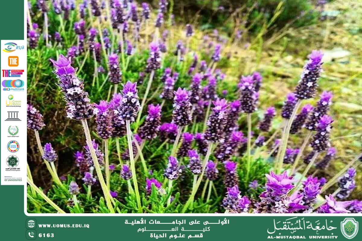 مقالة علمية للانسة نور الهدى عزمي حسن بعنوان "النباتات الحولية والمعمرة  "