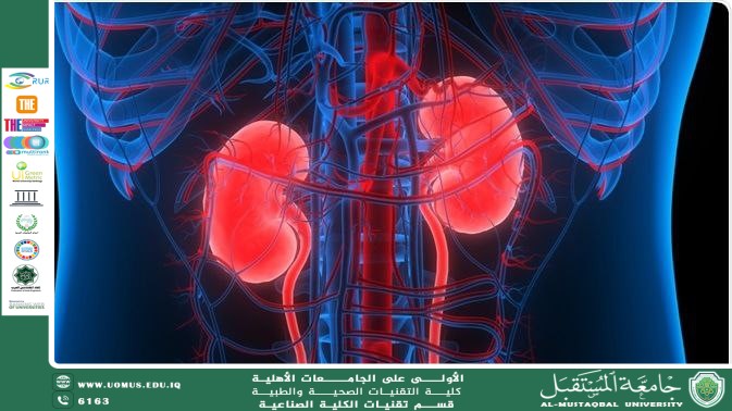 New and Emerging Biomarkers in Chronic Kidney Disease A scientific article prepared by Dr. Tuqa Hazem Abdullah