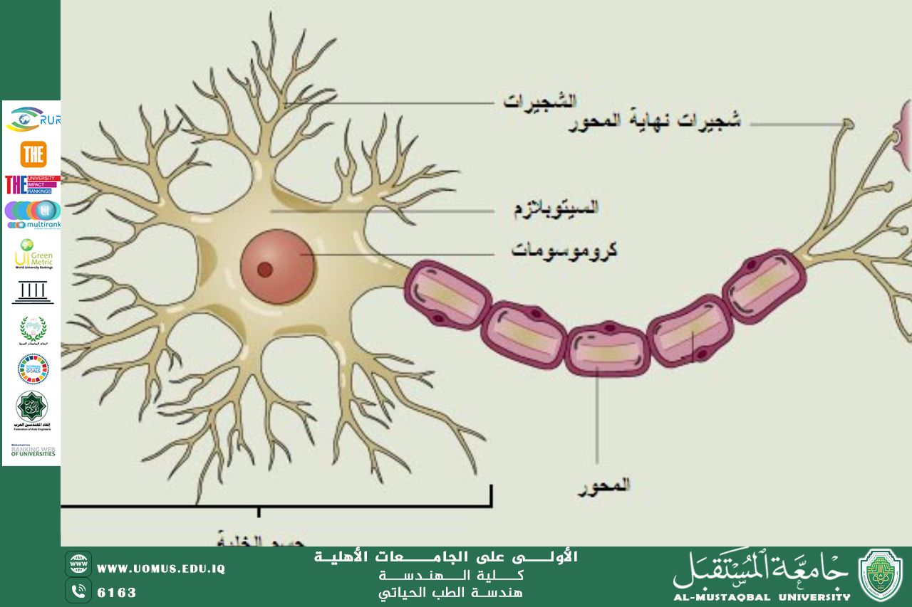 An article titled "Harvard's Research in Understanding Stem Cells" by Dr. Hussam Jawad Kadhim
