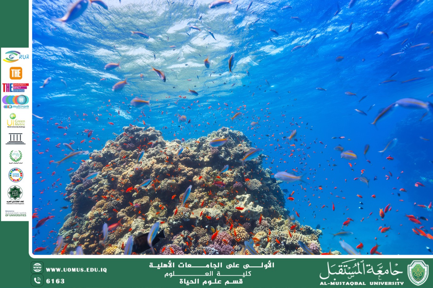 A scientific article by Miss Noor Alhuda Azmi Hasan titled “Dynamics of Marine Ecosystems and Their Biological Importance.”