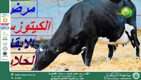 Common Diseases in Production Animals and Methods of Prevention