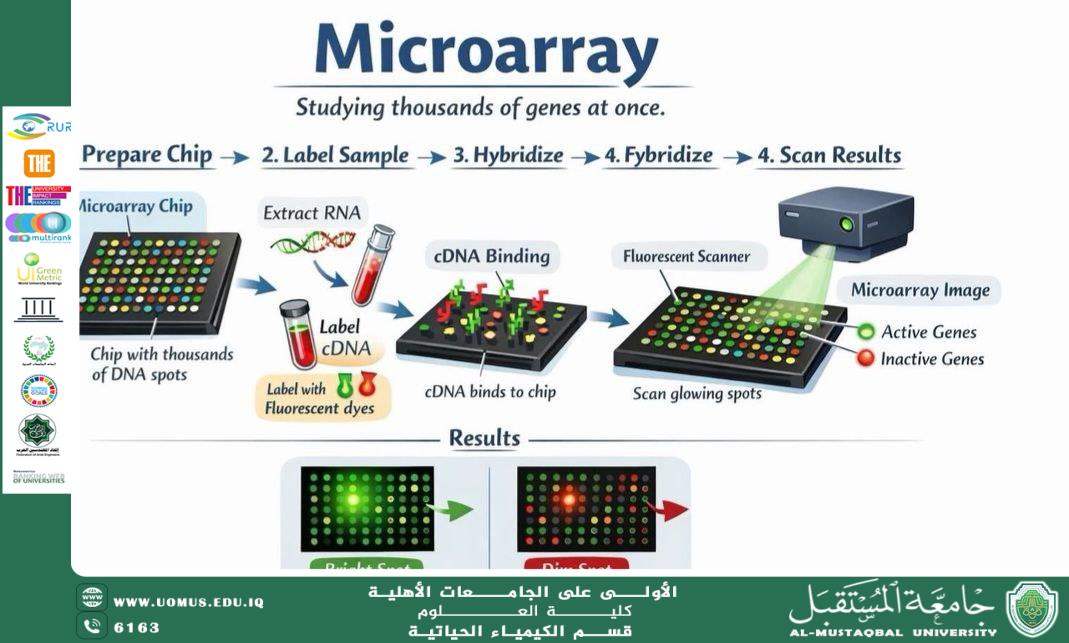تقنية المايكروأري (Microarray): أداة متقدمة لتحليل التعبير الجيني إعداد: م.م. عباس حمزة خضير قسم الكيمياء الحياتية – كلية العلوم – جامعة المستقبل