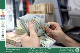 تذبذب سعر الدولار في الحقبة المستقبلية.