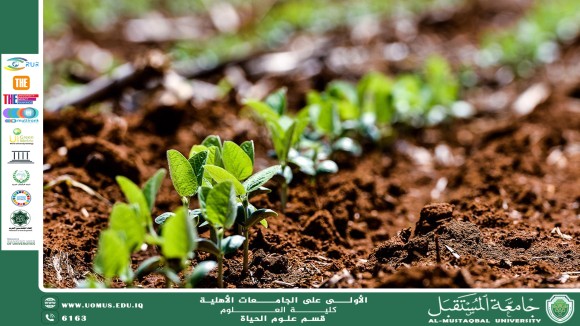 مقالة علمية للتدريسية م.م ضحى صلاح صاحب بعنوان : تأثير الميكروبات في دورة العناصر الغذائية في التربة